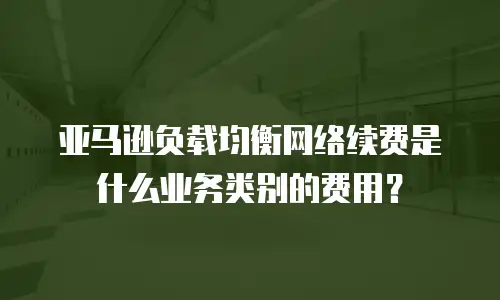 亚马逊负载均衡网络续费是什么业务类别的费用？