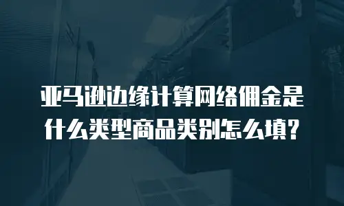 亚马逊边缘计算网络佣金是什么类型商品类别怎么填？