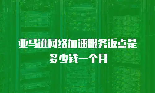 亚马逊网络加速服务返点是多少钱一个月
