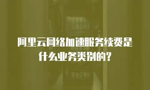 阿里云网络加速服务续费是什么业务类别的？