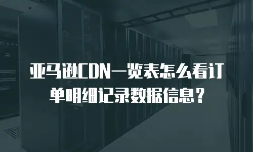 亚马逊CDN一览表怎么看订单明细记录数据信息？