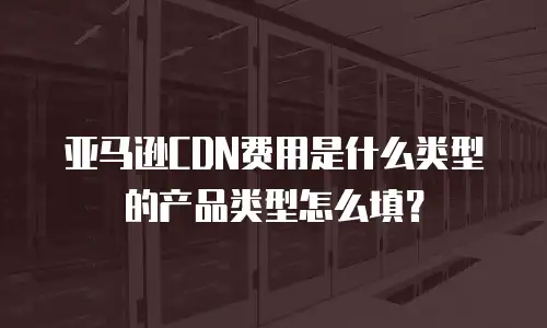 亚马逊CDN费用是什么类型的产品类型怎么填？