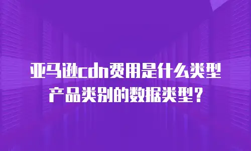 亚马逊CDN费用是什么类型产品类别的数据类型？