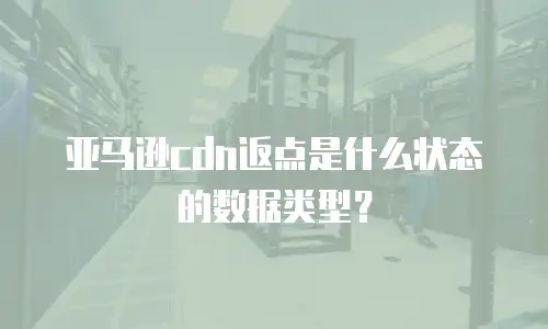 亚马逊cdn返点是什么状态的数据类型？