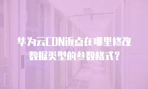 华为云CDN返点在哪里修改数据类型的参数格式？