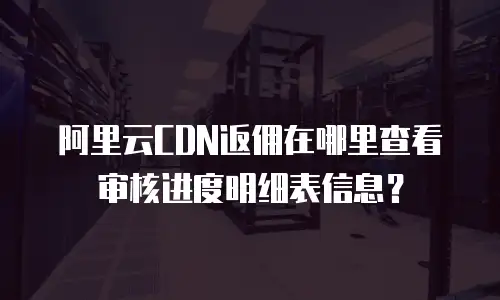 阿里云CDN返佣在哪里查看审核进度明细表信息？