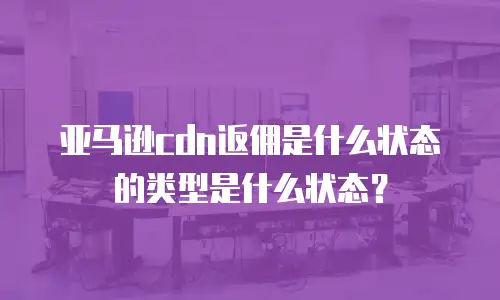 亚马逊cdn返佣是什么状态的类型是什么状态？