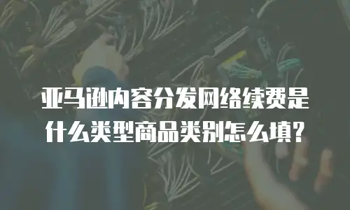 亚马逊内容分发网络续费是什么类型商品类别怎么填？