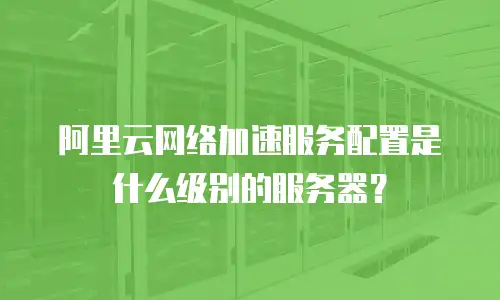 阿里云网络加速服务配置是什么级别的服务器？