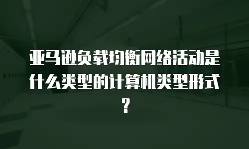 亚马逊负载均衡网络活动是什么类型的计算机类型形式？