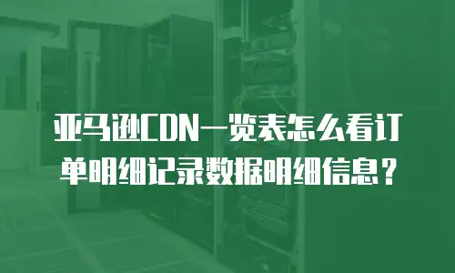 亚马逊CDN一览表怎么看订单明细记录数据明细信息？