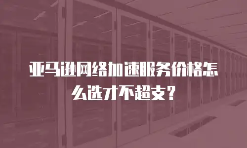 亚马逊网络加速服务价格怎么选才不超支？