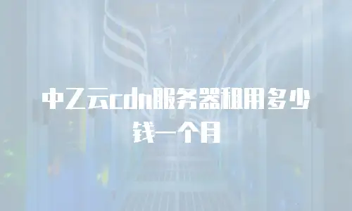 中乙云cdn服务器租用多少钱一个月