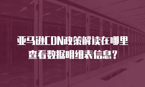 亚马逊CDN政策解读在哪里查看数据明细表信息？