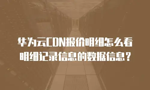 华为云CDN报价明细怎么看明细记录信息的数据信息？