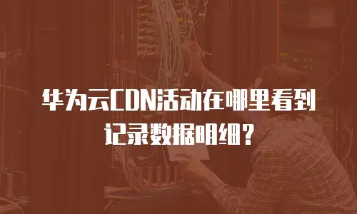 华为云CDN活动在哪里看到记录数据明细？