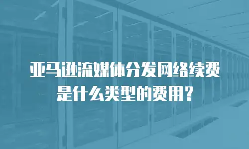 亚马逊流媒体分发网络续费是什么类型的费用？