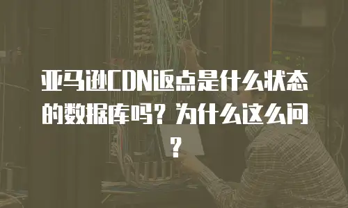 亚马逊CDN返点是什么状态的数据库吗？为什么这么问？