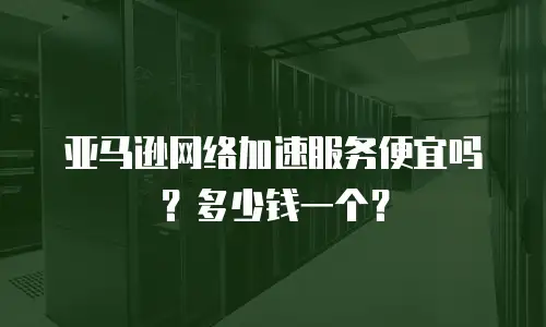 亚马逊网络加速服务便宜吗？多少钱一个？