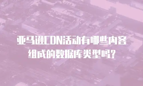亚马逊CDN活动有哪些内容组成的数据库类型吗？