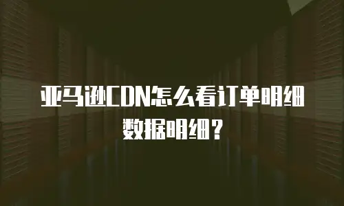 亚马逊CDN怎么看订单明细数据明细？