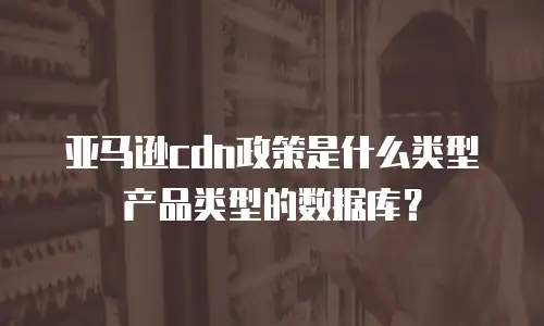 亚马逊cdn政策是什么类型产品类型的数据库？