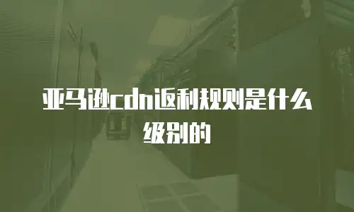 亚马逊cdn返利规则是什么级别的
