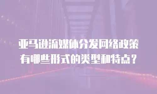 亚马逊流媒体分发网络政策有哪些形式的类型和特点？