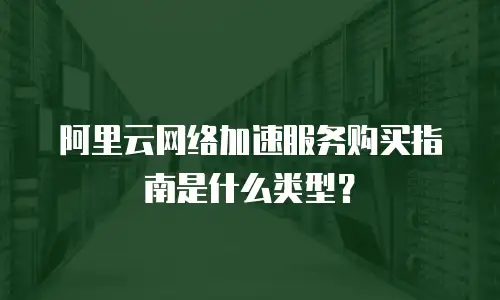 阿里云网络加速服务购买指南是什么类型？