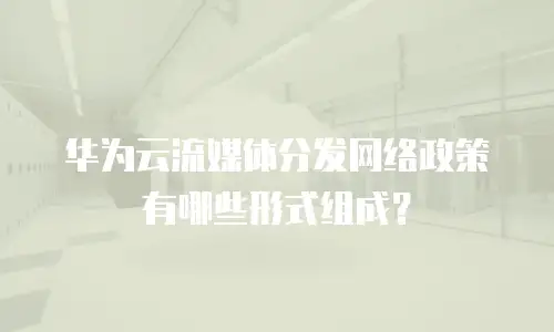 华为云流媒体分发网络政策有哪些形式组成？