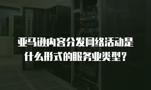 亚马逊内容分发网络活动是什么形式的服务业类型？