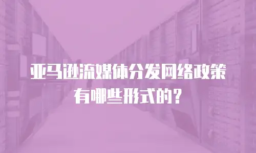 亚马逊流媒体分发网络政策有哪些形式的？