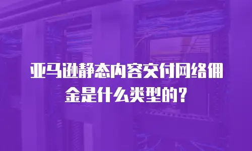亚马逊静态内容交付网络佣金是什么类型的？