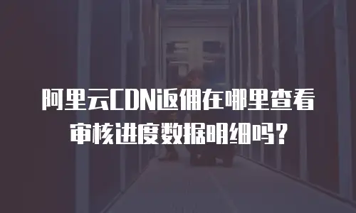 阿里云CDN返佣在哪里查看审核进度数据明细吗？