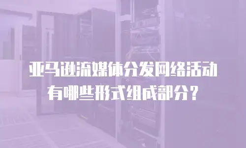 亚马逊流媒体分发网络活动有哪些形式组成部分？