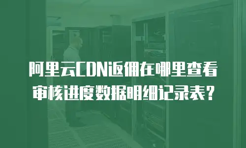 阿里云CDN返佣在哪里查看审核进度数据明细记录表？