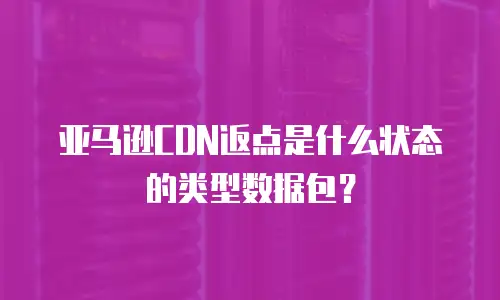 亚马逊CDN返点是什么状态的类型数据包？