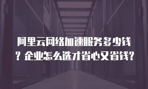 阿里云网络加速服务多少钱？企业怎么选才省心又省钱？