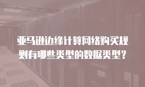 亚马逊边缘计算网络购买规则有哪些类型的数据类型？