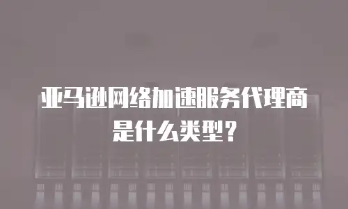 亚马逊网络加速服务代理商是什么类型？