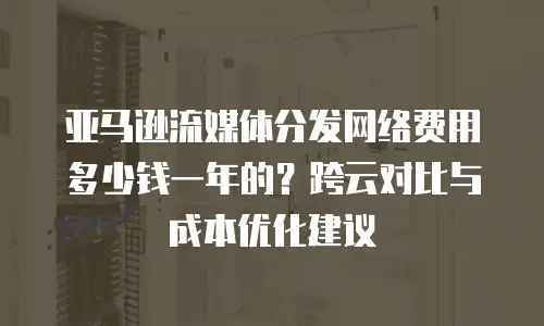亚马逊流媒体分发网络费用多少钱一年的？跨云对比与成本优化建议
