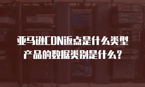 亚马逊CDN返点是什么类型产品的数据类别是什么？