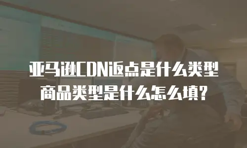 亚马逊CDN返点是什么类型商品类型是什么怎么填？