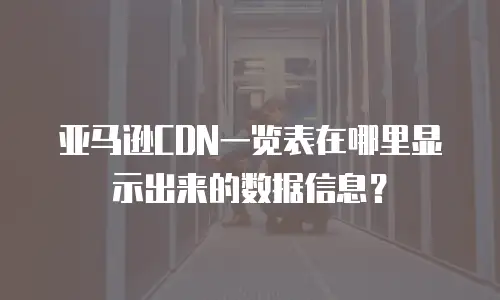 亚马逊CDN一览表在哪里显示出来的数据信息？