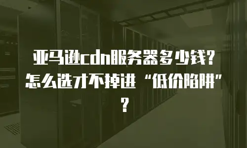 亚马逊cdn服务器多少钱？怎么选才不掉进&ldquo;低价陷阱&rdquo;？