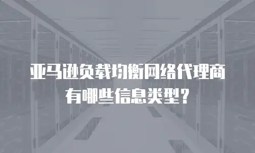 亚马逊负载均衡网络代理商有哪些信息类型？