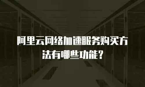 阿里云网络加速服务购买方法有哪些功能？