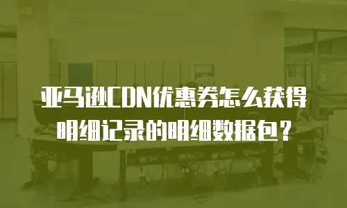 亚马逊CDN优惠券怎么获得明细记录的明细数据包？