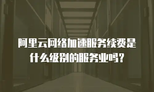 阿里云网络加速服务续费是什么级别的服务业吗？