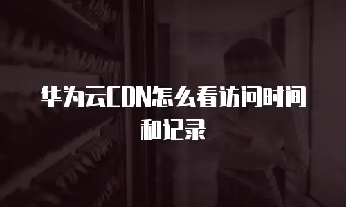 华为云CDN怎么看访问时间和记录